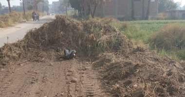 رفع 13 طن مخلفات وتراكمات فى حملات نظافة وتجميل بقرى مدينة الزينية.. صور
