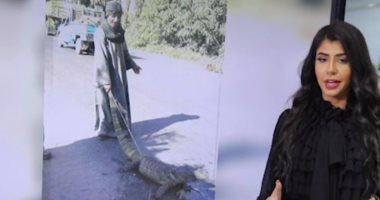 حفيد ديناصور يعيش في قنا.. حكاية أخطر حيوانات النيل.. تغطية لتليفزيون اليوم السابع