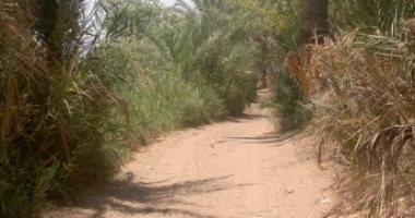 قارئ يطالب برصف طرق فى قرية عرب قصر هور بالمنيا.. ورئيس المدينة يرد