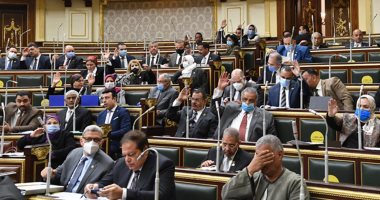 النص الكامل لمشروع لائحة مجلس الشيوخ بعد موافقة "النواب" عليها فى مجموعه