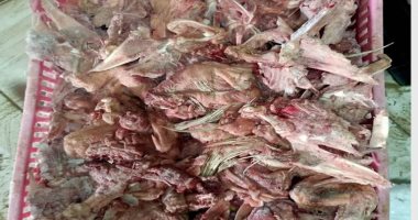 ضبط  2.5 طن لحوم غير صالحة للاستهلاك الآدمى في الإسكندرية