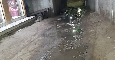 شكوى من انتشار مياه الصرف بشارع فى قرية العزيز بالمنصورة.. والشركة ترد