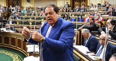 أبو العينين وكيل مجلس النواب يطالب بتوضيح المادة الخاصة بتقييد سفر نواب مجلس الشيوخ.. وينعي البرلماني السابق «البدري فرغلي»