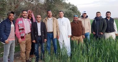 إنجاز 80% من مشروع رفع المياه الجوفية فى "أبو مينا الأثرية" بالإسكندرية