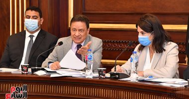 "الأعلى للإعلام " يطلق قناة على "اليوتيوب" لإلقاء الضوء على القضايا السيناوية