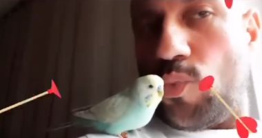 بقلوب حمراء.. أحمد مكي فى أحدث ظهور له مع الببغاء .. فيديو وصور
