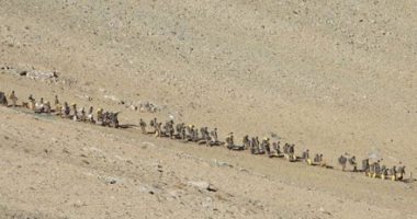 صور.. القوات الهندية تسحب جنودها من المنطقة المتنازع عليها مع الصين