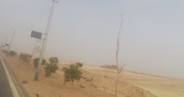 عواصف ترابية تعيق الرؤية على الطرق السريعة فى الوادى الجديد.. صور وفيديو