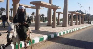 قصة العمدة وحماره فى رحلة الـ900 كيلو من الجيزة إلى أسوان.. فيديو