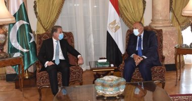 مؤتمر صحفى مشترك بين وزير الخارجية ونظيره الباكستانى بعد قليل