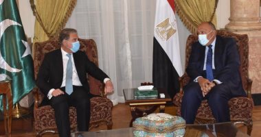 سامح شكرى: نتعاون مع المجتمع الدولى لإجراء الانتخابات فى ليبيا نهاية 2021