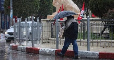 هطول أمطار غزيرة وثلوج على الأراضى الفلسطينية المحتلة.. فيديو وصور