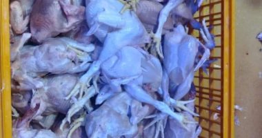ضبط 692 كيلو مصنعات لحوم و1500 كيلو أسماك فاسدة في حملات بالإسماعيلية