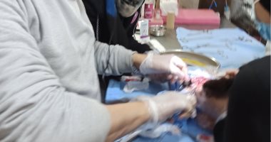 حكاية تحويل قط من ذكر إلى أنثى فى كفر الشيخ.. صور