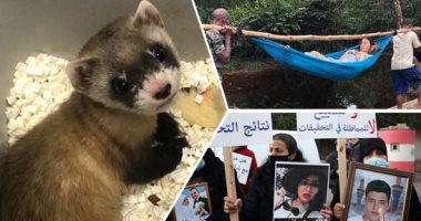 العالم هذ الصباح.. عملية إنقاذ النجمة الأمريكية "آشلي جود" من الموت بالكونغو الديمقراطية.. أهالى ضحايا انفجار بيروت يعتصمون أمام قصر العدل فى لبنان.. واستنساخ أول حيوان مهدد بالانقراض بالولايات المتحدة