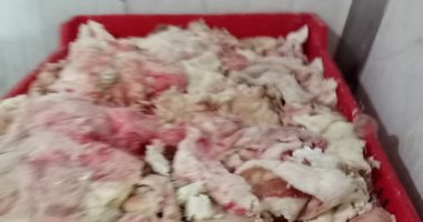 ضبط 3 طن لحوم ودواجن غير صالحة للاستخدام الآدمى بإمبابة والهرم