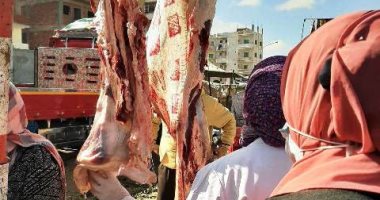 ضبط 845 لحوم وأسماك غير صالحة للاستهلاك وتحرير 31 محضر مخالفة بالشرقية