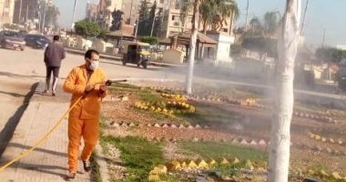 حملة تطهير بشوارع الدلنجات بالبحيرة ضمن الإجراءات الوقائية لمواجهة كورونا.. صور