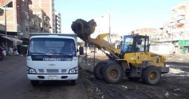 حملات نظافة وتجميل ورفع كفاءة الإنارة بمراكز ومدن محافظة كفر الشيخ.. صور