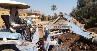 رفع 10 طن مخلفات وقمامة فى حملات نظافة بقرى مدينة الزينية فى الأقصر