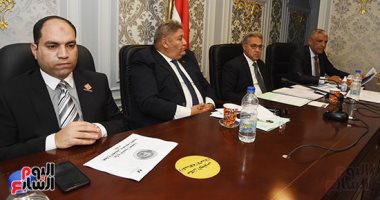 نائب عن التنسيقية: "المواطن لا يشعر بوجود تفتيش على المحليات.. وهناك قصور"