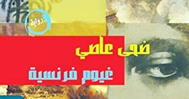 مناقشة رواية "غيوم فرنسية" فى مختبر السرديات بمكتبة الإسكندرية