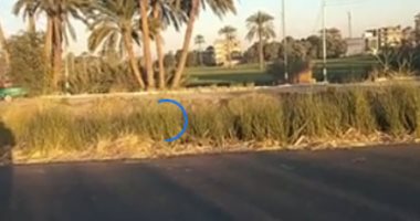رفضت عمل الشاي.. تفاصيل واقعة مقتل عجوز على يد ابنها بقنا "فيديو لايف"