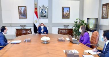 الرئيس السيسى يوجه بتحديث الملف الوظيفي لجميع العاملين بالحكومة