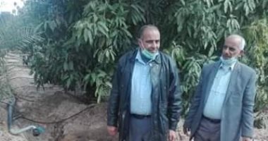 "زراعة الإسماعيلية": نظام الرى الحديث يقلل الإصابة بالأمراض الفطرية