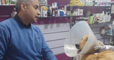 الراحمون يرحمهم الله.. إنقاذ كلب من بتر قدميه بعد إصابته بغرغرينة فى كفر الشيخ "فيديو"