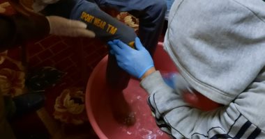 محافظ كفر الشيخ يوجه بنقل مسن بلا مأوى لدار رعاية بالورق