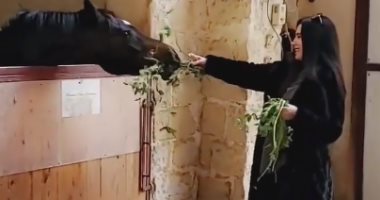 مع أحلى المخلوقات.. عبير صبرى فى فيديو تطعم الخيل .. فيديو وصور