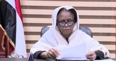 السودان يؤكد احترام المحكمة الجنائية الدولية ودورها