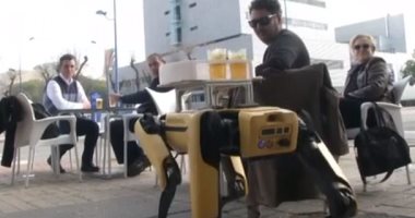 روبوت كلب يقدم المشروبات فى حانة بإشبيلية خوفا من عدوى كورونا.. فيديو