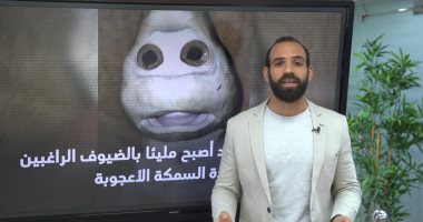 الكائن العجيب.. حيوان يشبه البشر داخل بطن سمكة قرش يحير العالم.. فيديو