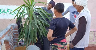 طلاب إعدادية بقنا يشاركون فى تزين وزراعة الأشجار بحديقة مدرستهم رغم الإجازة
