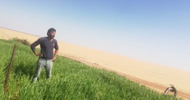 شاب ينشئ مرعى مفتوحا وخط إنتاج حيوانى وسط الرمال بالوادى الجديد.. صور وفيديو