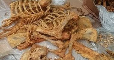 شرطة جنوب أفريقيا تضبط 27 هيكلا عظميا لـ"أسود" قبل تهريبها خارج البلاد.. صور