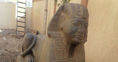 الآثار تنقل اليوم تمثال "أبوصوير" شبيه "أبو الهول" لمتحف الإسماعيلية.. صور