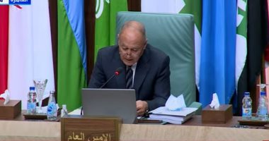 رئيس وفد لبنان: نقدر دور أبو الغيط فى دعم بلدنا
