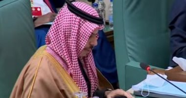 السعودية تدين الهجوم الإرهابي على وحدة عسكرية في شرق النيجر