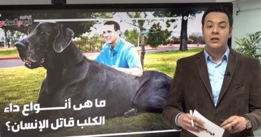 داء الكلب "السعار".. نصائح للحماية من مرض خفى يفتك بالبشر.. فيديو
