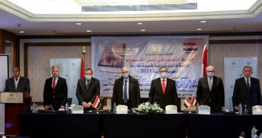 خبراء قانون دولى وسياسة: نقدر جهود الرئيس السيسى فى تحقيق الأمن والاستقرار والتنمية