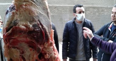 حملات رقابية للحفاظ على الدعم وضبط السلع المجهولة.. صور