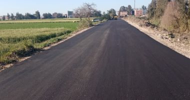 استكمال رصف عدد من الطرق بمدن وقرى كفر الشيخ.. صور