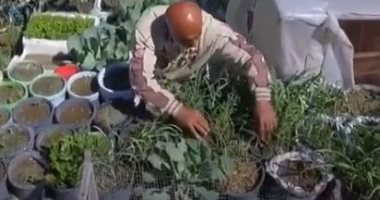 لتلبية متطلبات أسرته الغذائية.. تيسير يحول سطح منزله لحديقة زراعية.. فيديو
