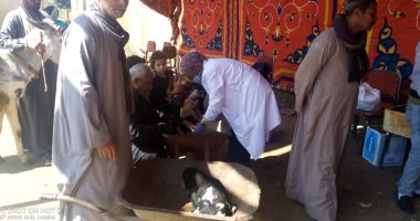 جامعة سوهاج تنظم قافلتها البيطرية المجانية لقرية أولاد إسماعيل بالمراغة 