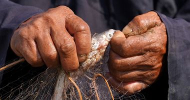 البساطة والرزق على الله.. يوميات صياد سمك على شواطئ كمبوديا بعد موجة الفيضان..ألبوم صور