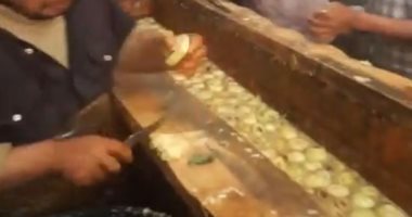 سيدى غازى.. قرية مصرية تصدر الخرشوف للعالم.. فيديو