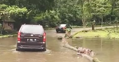 سائحة تثير الغضب لإلقائها زجاجة بلاستيكية فى فم فرس النهر بإندونيسيا.. فيديو